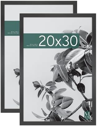 MCS Studio Gallery Poster Frame, 20x30, Black Woodgrain, 2-Pack