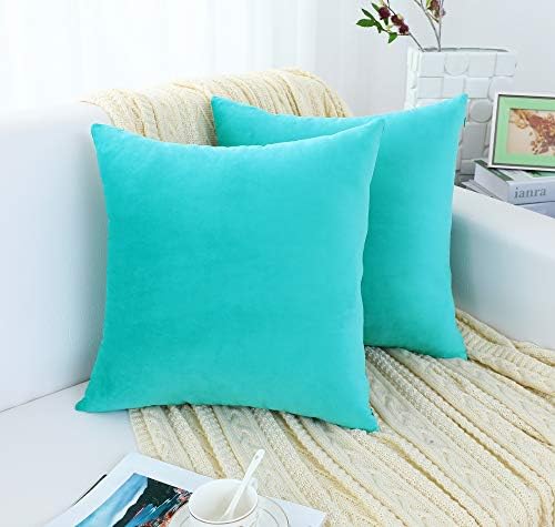 Jeneoo Comfy Soft Thick Velvet Throw Pillow Covers for Sofa Couch, Decorative Solid Square Cushion Cases for Bedroom Car (Turquoise, 16 x 16 Inches, 2 Pieces)