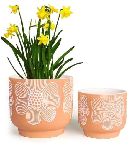 Ceramic Plant Pots, 8+6 Inch, 2 Pcs Indoor Planters with Drainage Holes