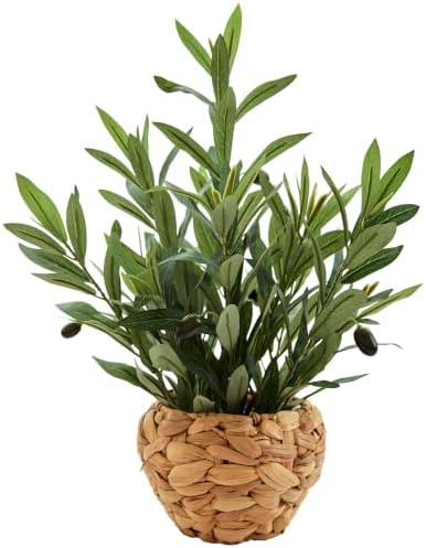 AlphaAcc Fake Potted Plant Small Olive Water Hyacinth Mediterranean Decor