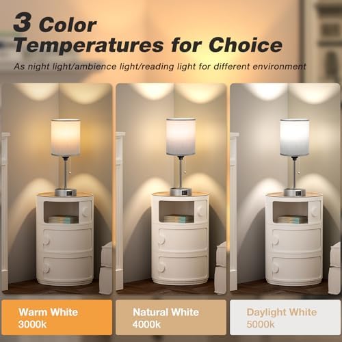 Small Bedside Table Lamp for Bedroom, Desk Lamp with USB Ports for Dorm