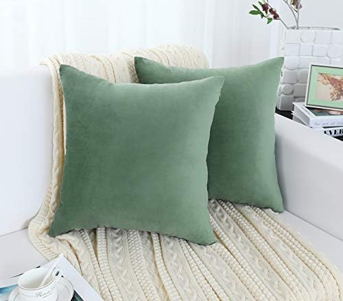 Jeneoo Set of 2 Comfy Soft Velvet Throw Pillow Covers for Sofa Couch Decorative Square Cushion Cases for Bedroom Car (20 x 20 Inches, Sage Green)