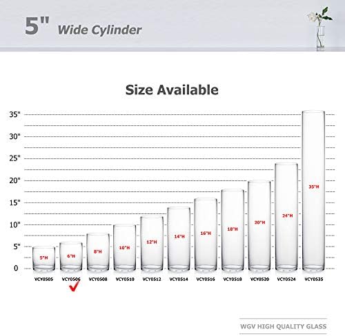 WGV Cylinder Vase, Diameter 5", Height 6", Clear Glass Floral Planter Container, Floating Candle Holder for Wedding Party Event Home Office Decor, 1 Piece