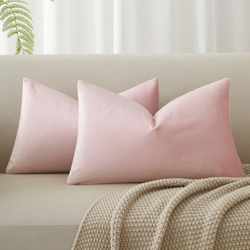 JUSPURBET 14x24 Velvet Decorative Throw Pillow Covers Set of 2,Pink