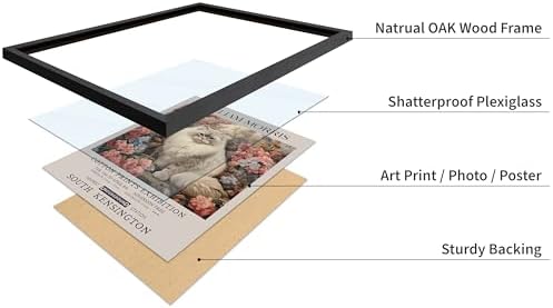 Poster Master Persian Cat Print - Flower Art - Botanical Design - Exhibition Display - Animal Illustration - Floral Painting - Cat Illustration - Aesthetic Office or Bedroom Decor - 11x14 Black Framed