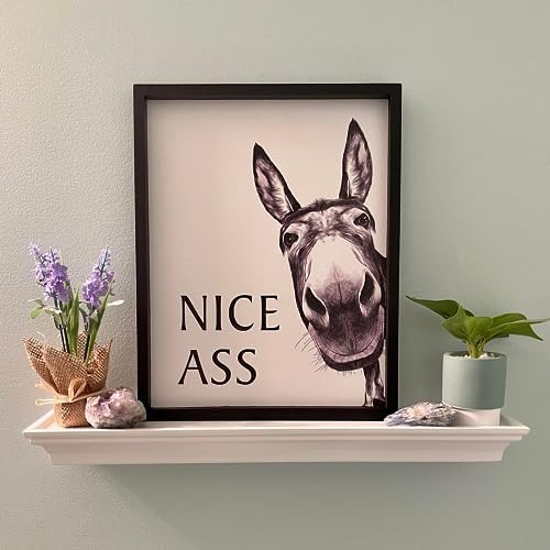 Heiple Framed Bathroom Art Wall Decor - Farmhouse Home Decor Sets, Vintage Funny Signs (Black, 16"x20")