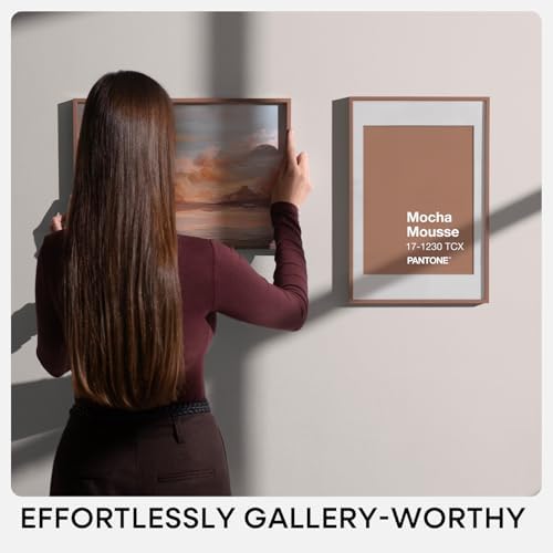 Homeforia 12x24 Mocha Picture Frame, High-End Metal, 8x20 Mat, Glass