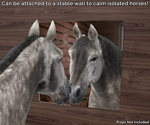 Marketing Holders 3 Pack 12” x 12” Mirrors with Rounded Corners Great for Classroom Activities Horses or Chicken Coop Flat Mirror Sheet Tile Table Decor