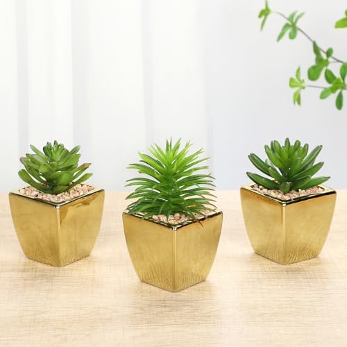 Hollyone Small Succulents Artificial 3 Pcs Faux Succulents with Gold Pots Mini Fake Succulent Plants Indoor Plant Ceramic Pots for Modern Office Desk Bathroom Shelf Living Room Home Decor