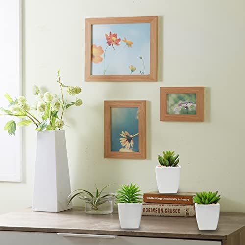 Hollyone Small Faux Succulents in White Ceramic Pot 3Pcs Artificial Succulents Fake Plant Gifts Home Decor Accents Centerpieces Bathroom Decor Mum Gifts Greenery Decoration Succulents Wedding