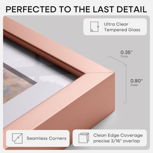 Homeforia 4x6 Rose Picture Frame, High-End Metal, 3x5 Mat, Glass