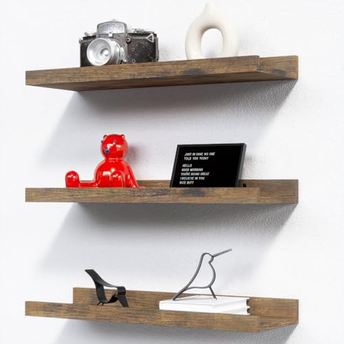 RICHER HOUSE 3-Set Floating Shelves with Lip, Brown Small Wall Shelf, 16In