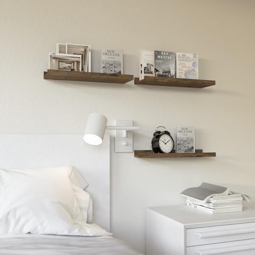 RICHER HOUSE 3-Set Floating Shelves with Lip, Brown Small Wall Shelf, 16In