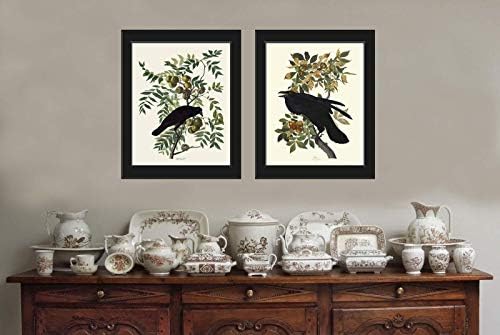 Crow and Raven James Audubon Wall Art Print Set of 2 Prints Beautiful Birds Home Decor LoveThePrint Unframed