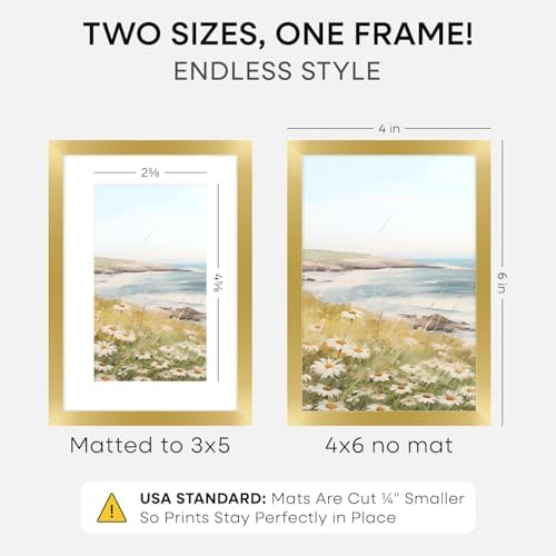 Homeforia 4x6 Gold Picture Frame, High-End Metal, 3x5 Mat, Glass