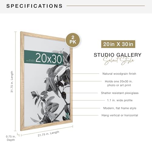 MCS Studio Gallery Poster Frame, 20x30, Natural Woodgrain, 2-Pack