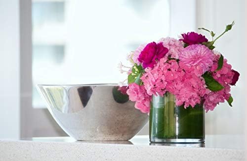 WGVI WGV Cylinder Vase Bulk, 3" W x 3" H, Clear Glass Candle Holder Bud Floral Container Planter Terrarium for Wedding Party Flowers Centerpieces and Home Office Decor, 6 Pieces