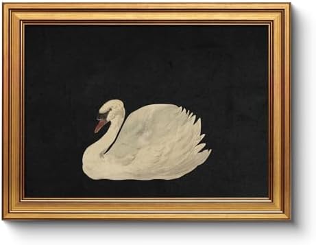 WHASAYART Gold Framed Vintage Wall Art for Living Room, Grace Swan Art Painting Pictures Rustic Animal Bathroom Prints Farmhouse Wall Decor Canvas Swan Shelf Decor for Kitchen Bedroom Zwaan 12"x16"