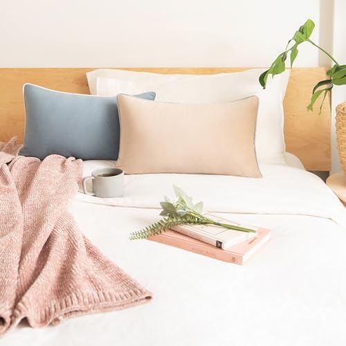 MONDAY MOOSE Decorative Throw Pillow Covers Cushion Cases, Set of 2 Soft Velvet Modern Double-Sided Designs, Mix and Match for Home Decor, Pillow Inserts Not Included (12x20 inch, Beige/Light Blue)