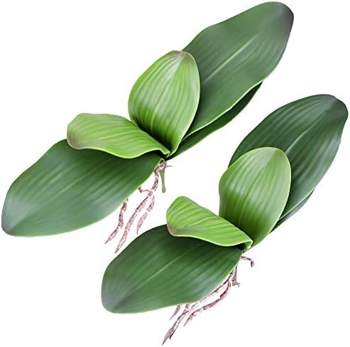 Fnize Faux Orchid Leaves Artificial Phalaenopsis Leaf Real Touch 10" 2pcs