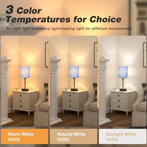 Small Bedside Table Lamp for Bedroom - Desk Lamp with USB Ports for Dorm