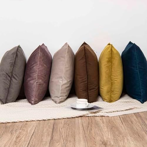 JUSPURBET 16x24 Lumbar Velvet Throw Pillow Covers Set of 2,Cloud