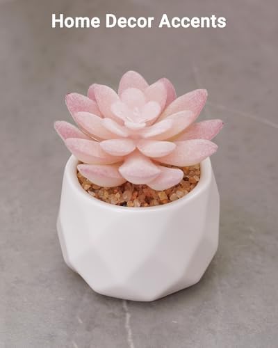 VIVERIE Mini Succulents Plants Artificial in Pots-Rose Pink, Christmas Small Fake Succulents Plants for Home Decor Indoor for Women, White Ceramic Faux Succulents, Set of 1, Gifts for Mom