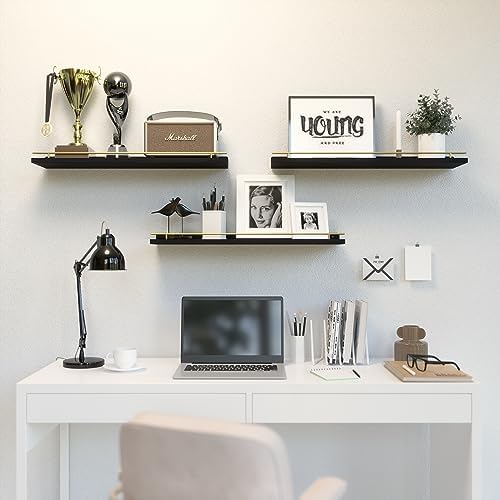 WOPITUES Floating Shelves 24 inch for Wall Decor Set of 3, Black and Gold
