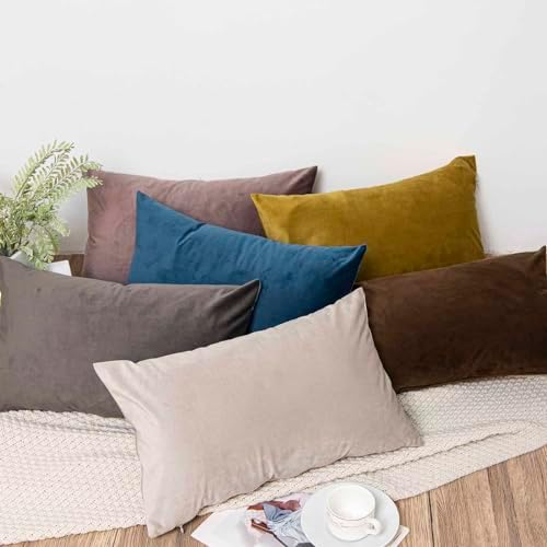 JUSPURBET 16x24 Lumbar Velvet Throw Pillow Covers Set of 2,Cloud