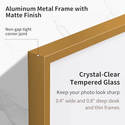 Fun Memories 18x24 Aluminum Poster Frame, 18 x 24 inch Metal Picture Frames with Real Glass Front, Displays 16x20 Photos with Mat or 18x24 Images without Mat - Bronze - Set of 1