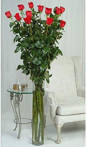 WGV Cylinder Vase, Diameter 5", Height 18", Clear Glass Floral Planter Container, Tall Centerpiece Arrangement for Wedding Party Event Home Office Decor, 1 Piece