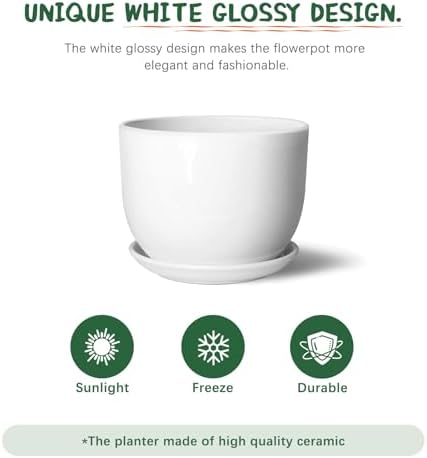 8 Inch Ceramic Planter, Plant Pots with Drainage Hole and Separable Saucer,Indoor-Outdoor Round Succulent Orchid Flower Pot,Indoor pots for Plants(White,Plant Pot only)