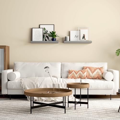 Boswillon Floating Shelves Set of 2, Small Wall Shelf with Lip, 16in, Grey