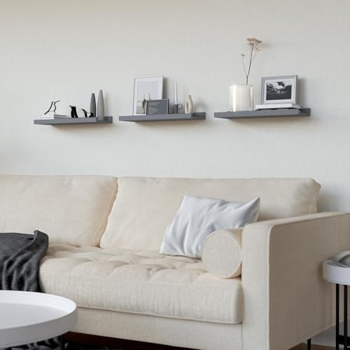 RICHER HOUSE 3-Set Floating Shelves with Lip, Grey Small Wall Shelf, 16In