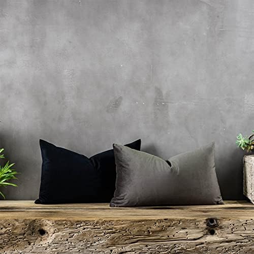 Black Soft Lumbar Velvet Throw Pillow Covers 16x24 inch Set of 2 for Sofa Couch Bed Living Room Decorative Luxury Solid Rectangle Cushion Covers Case with Zipper