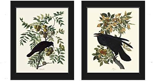 Crow and Raven James Audubon Wall Art Print Set of 2 Prints Beautiful Birds Home Decor LoveThePrint Unframed