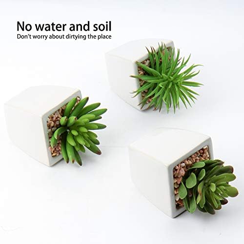 Hollyone Small Faux Succulents in White Ceramic Pot 3Pcs Artificial Succulents Fake Plant Gifts Home Decor Accents Centerpieces Bathroom Decor Mum Gifts Greenery Decoration Succulents Wedding