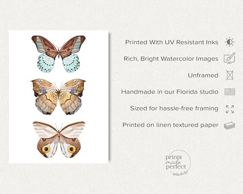 Prints Made Perfect Brown Butterfly Wall Art – Watercolor Butterfly Print – Botanical Nature Decor – Neutral Cottagecore Wall Decor – 11x14 Unframed Linen Paper