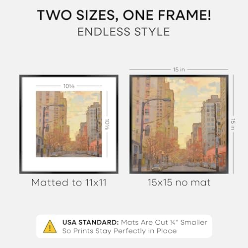 Homeforia 15x15 Black Picture Frame, High-End Metal, 11x11 Mat, Glass