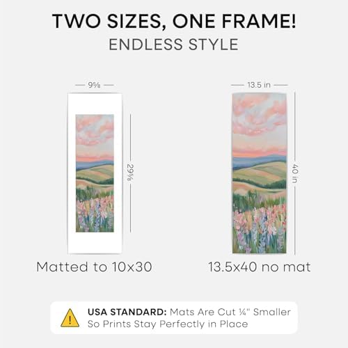 Homeforia 13.5x40 Silver Picture Frame, High-End Metal, 10x30 Mat, Glass