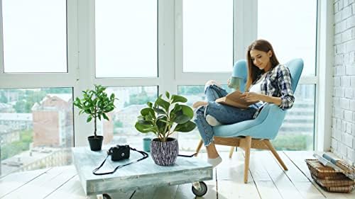 AlphaAcc Fake Faux Fiddle Leaf Fig Cement Planter Housewarming Desk Decor