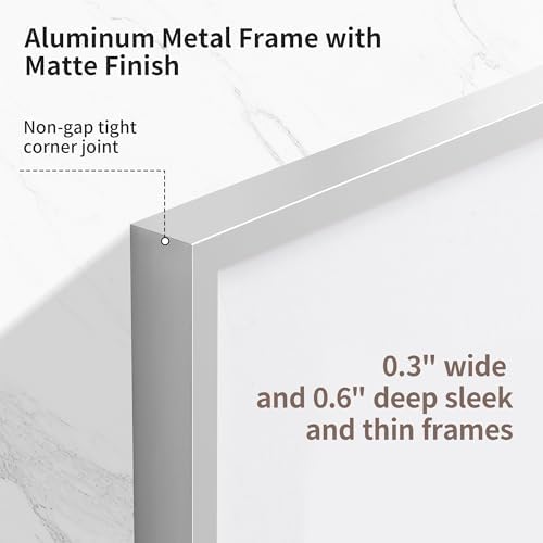 6x9 Metal Picture Frame - High-End Aluminum Frame for Art, Simple and Elegant 6 by 9 Poster Photo Frame for Wall Gallery, Mount Horizontally or Vertically, Silver, 1 Pack