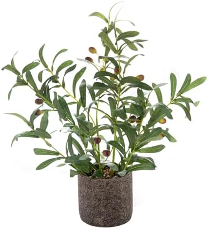 AlphaAcc Fake Faux Small Olive Potted Plant 18" Rustic Cement Planter