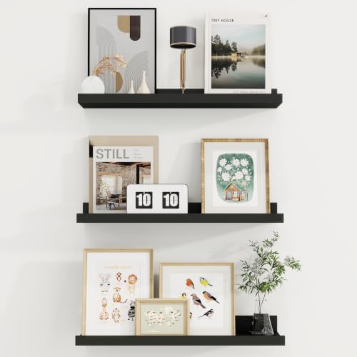 Axeman 20 Inch Floating Shelves, Black Picture Ledge Shelf Set of 3