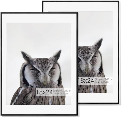 Fun Memories 18x24 Aluminum Poster Frame, 18 x 24 inch Metal Picture Frames with Real Glass Front, Displays 16x20 Photos with Mat or 18x24 Images without Mat - Black - Set of 2