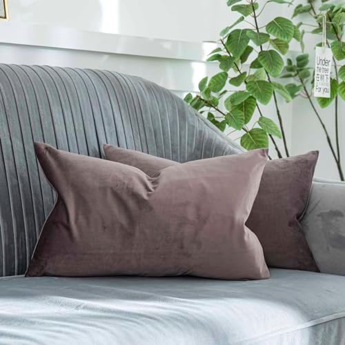 Mulberry Decorative Lumbar Velvet Throw Pillow Covers 16x24 inch Set of 2 with Zipper Luxury Soft Solid Rectangle Cushion Covers Case for Sofa Couch Bed Living Room