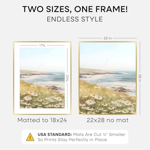 Homeforia 22x28 Gold Poster Frame, High-End Metal, 18x24 Mat, Glass