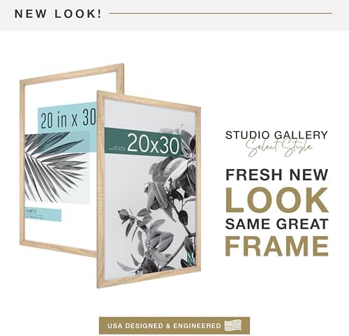 MCS Studio Gallery Poster Frame, 20x30, Natural Woodgrain, 2-Pack