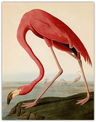 Vintage American Pink Flamingo Wall Art Print: 11x14 Unframed Bird Wall Decor Poster for Home, Office, Dorm, Farmhouse, Bedroom & Living Room - Creative Housewarming Idea for Bird & Nature Lovers