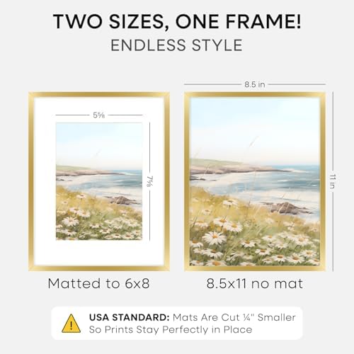 Homeforia 8.5x11 Gold Picture Frame, High-End Metal, 6x8 Mat, Glass